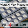 Vigra Xl Max Platinum 07